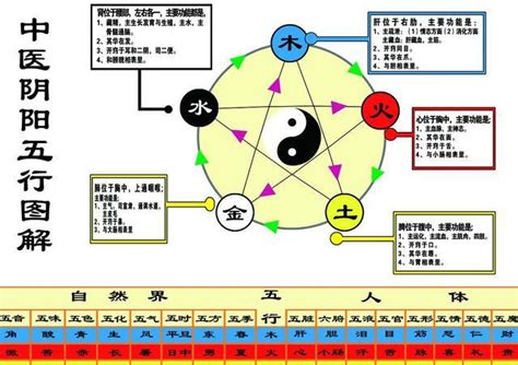 三界五行